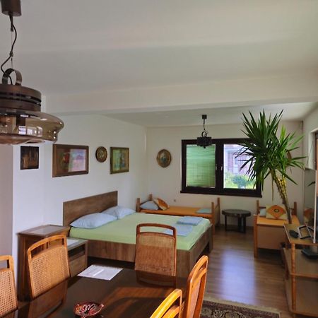 Peaceful Vacation Villa & Garden 사라예보 외부 사진